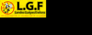 Logo LGF