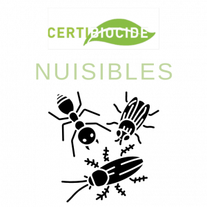 Certibiocide Nuisibles chez Compétences Formations Bordeaux