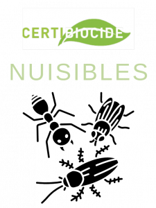 Certibiocide Nuisibles chez Compétences Formations Bordeaux