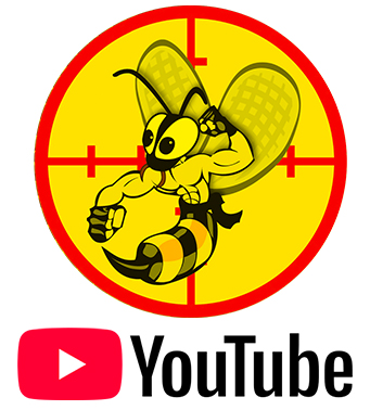influenceur YouTube lutte contre les frelons asiatiques influenceur YouTube lutte contre les frelons asiatiques
